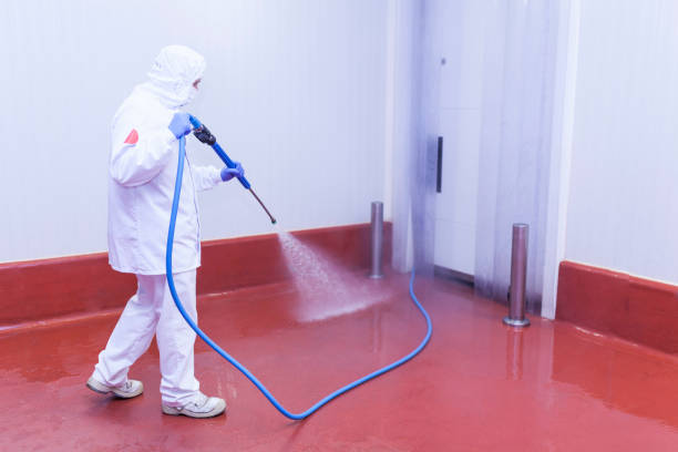 Punaluu, HI Pressure Washing Services Company